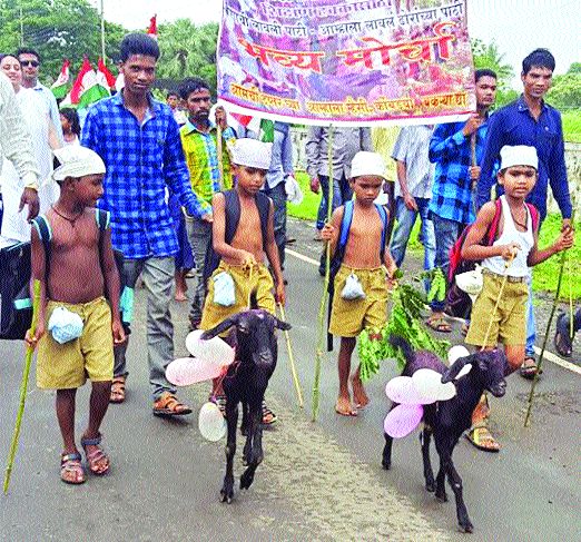 Students take turns with goats on the road | शेळ्या घेऊन विद्यार्थी उतरले रस्त्यावर Students take turns with goats on the road | शेळ्या घेऊन विद्यार्थी उतरले रस्त्यावर